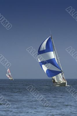 Sailing. The winner and losed