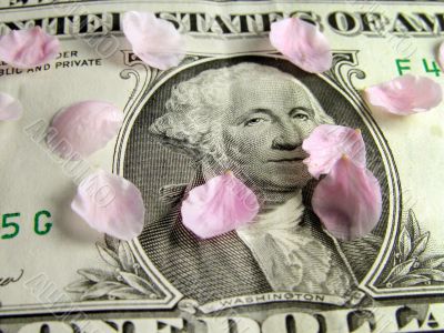 Petals on the dollar bill