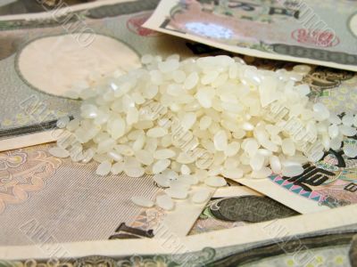 Rice and money