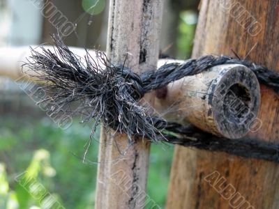 Old bamboo fence