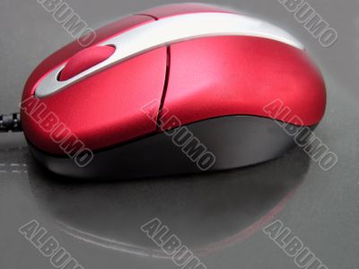 Red mouse