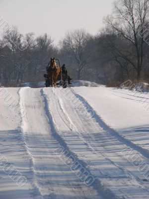 Winter snowy road thru forest