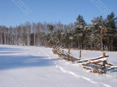 Winter snowy morning country landscape