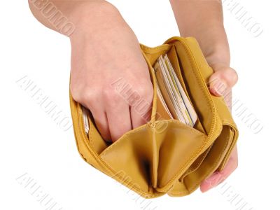 Looking for the money