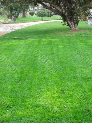 Morning in park ` De la Ciutadella`. Barcelona