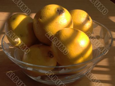 Oranges in a Bowl