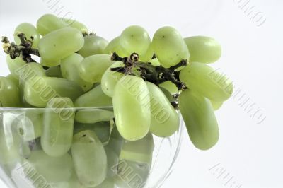 grapes