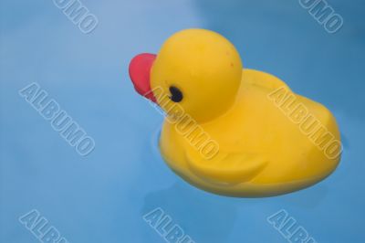 Rubber Ducky
