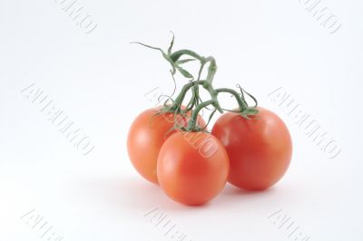 tomatoes