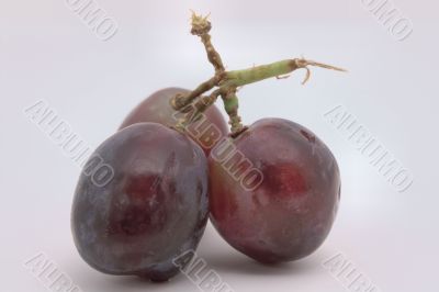 grapes