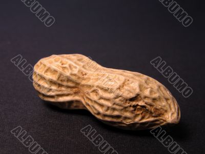 Peanut
