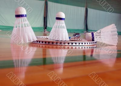 Indoor badminton