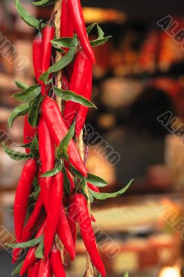 Hot chilly peppers