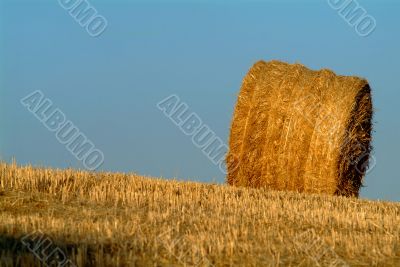 strohballen | straw bale