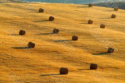 strohballen | straw bale