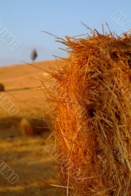 strohballen | straw bale