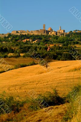 volterra | volterra