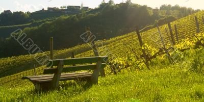 auf der bank | on a bench