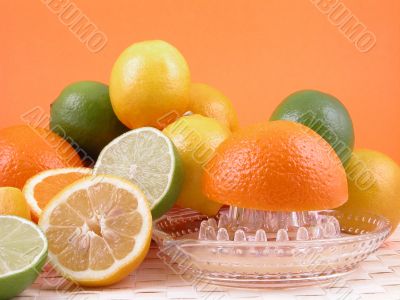 citrus squeezer