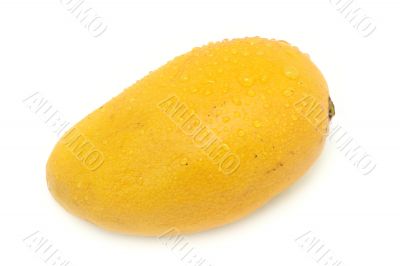 Mango (isolated on white)
