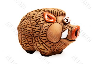 Wild Piggy Bank (isolated on white)