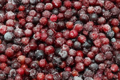 Frozen Berries for Background
