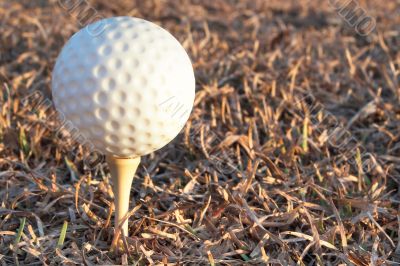 golf ball