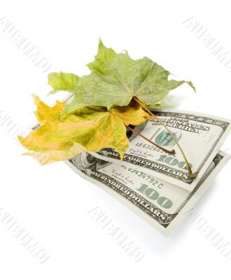 Leaves and dollars