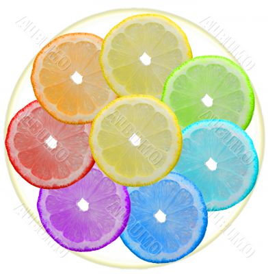 Seven-flower Seven-flower