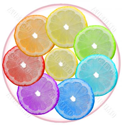 Seven-flower Seven-flower