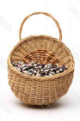 Blue corn Blue corn