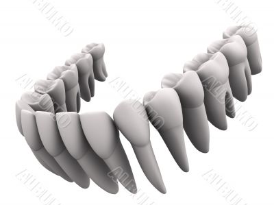 Lower teeth 2 Lower teeth 2
