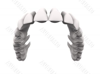 Upper teeth 1