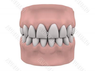 Teeth and gums Teeth and gums