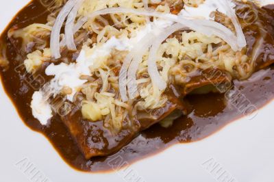 Mole enchiladas close-up