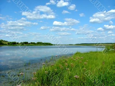 landscape, year day on pond