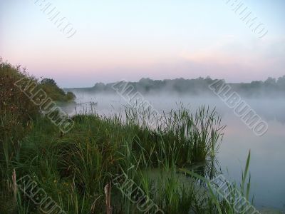 misty morning, by summer on lake