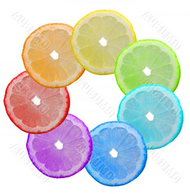 Seven-flower Seven-flower