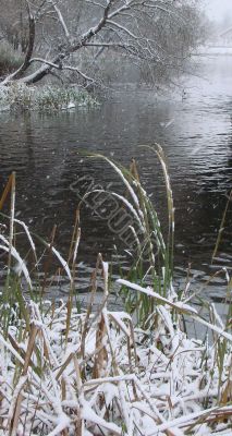 First season snowfall on Ukrainian River