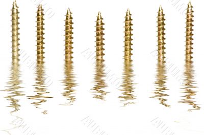 Close up  screw