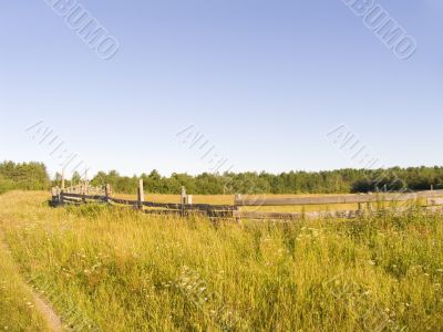 Shelter for cattle