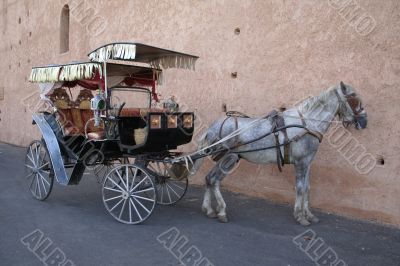 Meknes hackney carriage