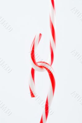 candy canes candy canes