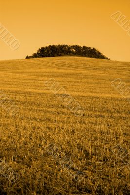 toskana | toscana