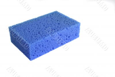 Blue sponge