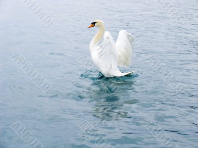 Sea bathing Sea bathing