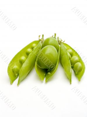 Two fruits plums in a pod of a green peas.