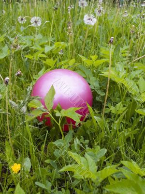 Children`s ball Children`s ball