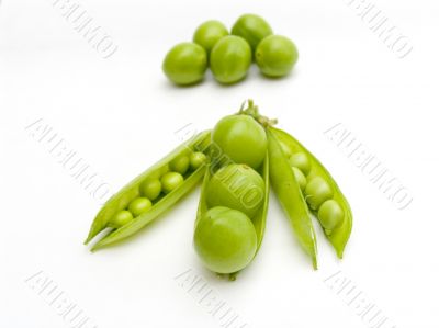 Green peas and fruits green plums in a pod