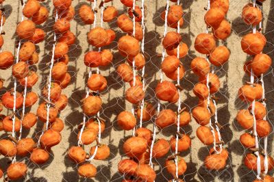 Persimmons drying